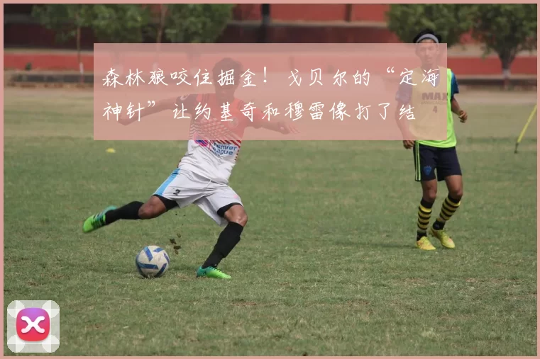 森林狼咬住掘金！戈贝尔的“定海神针”让约基奇和穆雷像打了结