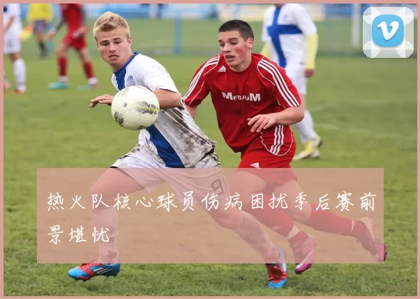 热火队核心球员伤病困扰季后赛前景堪忧