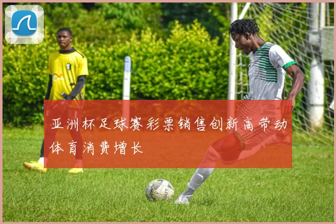 亚洲杯足球赛彩票销售创新高带动体育消费增长