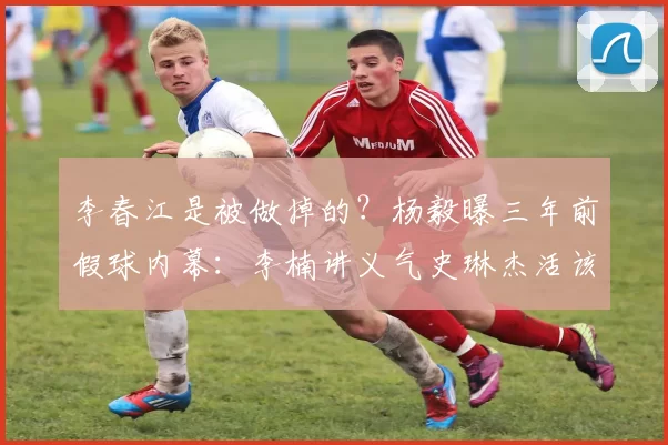 李春江是被做掉的？杨毅曝三年前假球内幕：李楠讲义气史琳杰活该